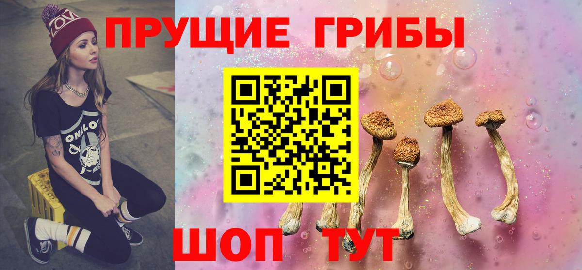 Галлюциногенные грибы Psilocybe  Вход с VPN  Ишимбай 